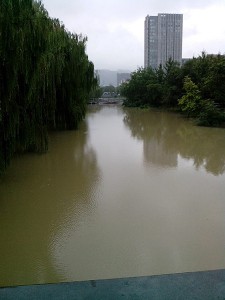 河里的水快淹到桥面了